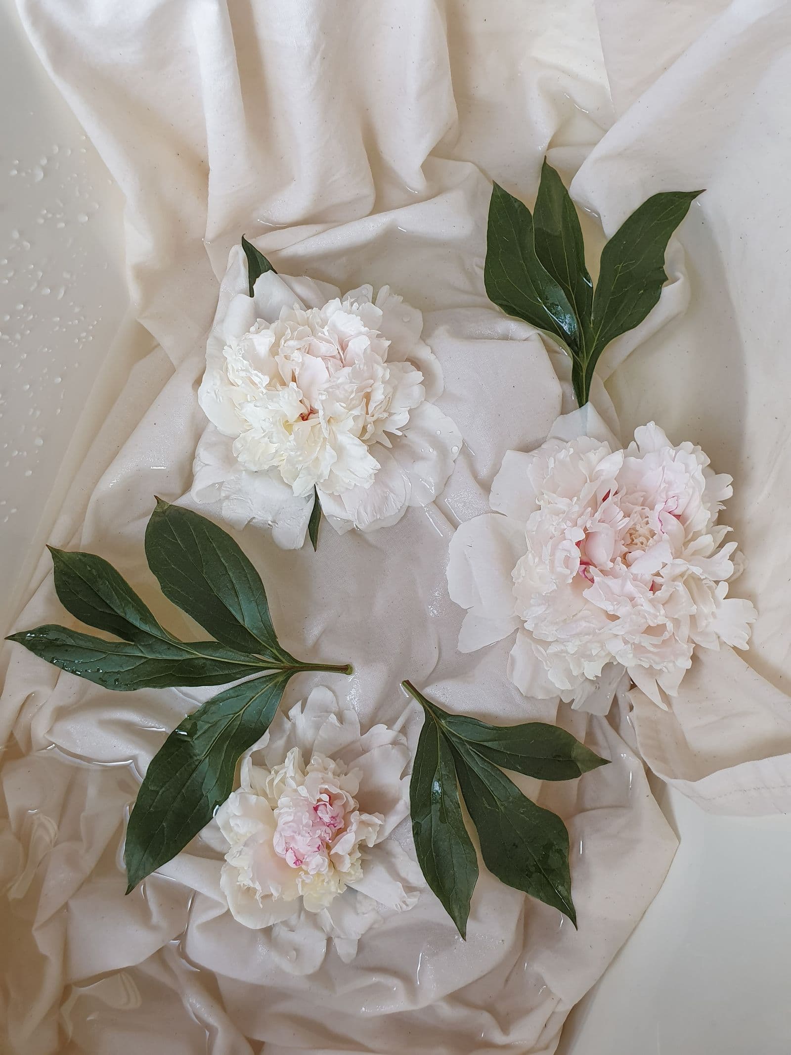 Peonies on ivory linen — an editorial wedding website mood